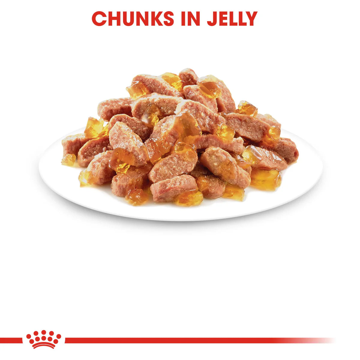 Royal Canin Kitten In Jelly (85gm\ Pouch) - Wet Food