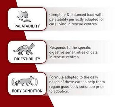 Royal Canin SC 365D (15 KG) - Dry food for Sterilised Adult Cats - PetYard
