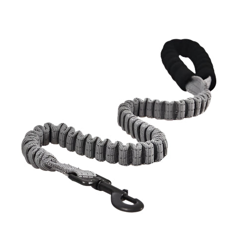 Naomi Pet Leash - PetYard