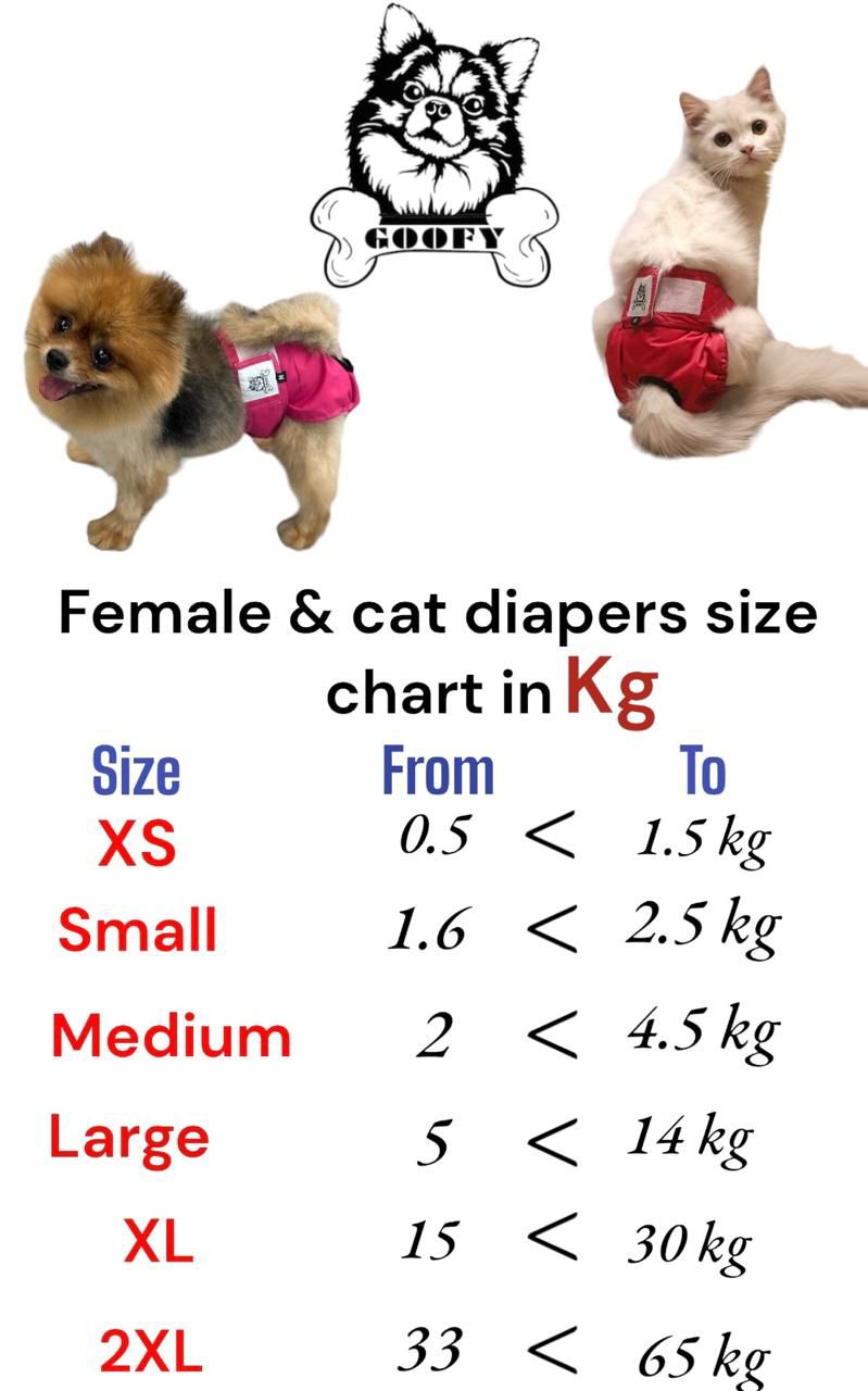 Goofy Female Diaper XL