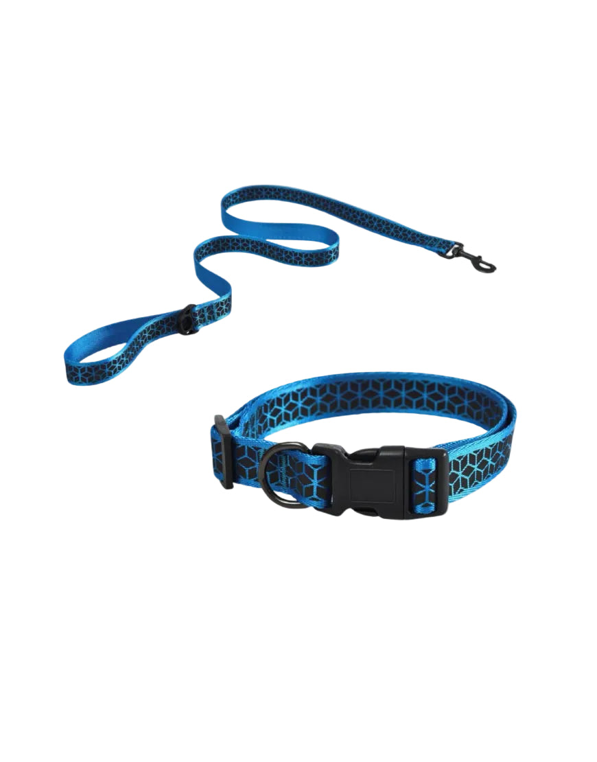 Naomi Dog Leash & Collar S