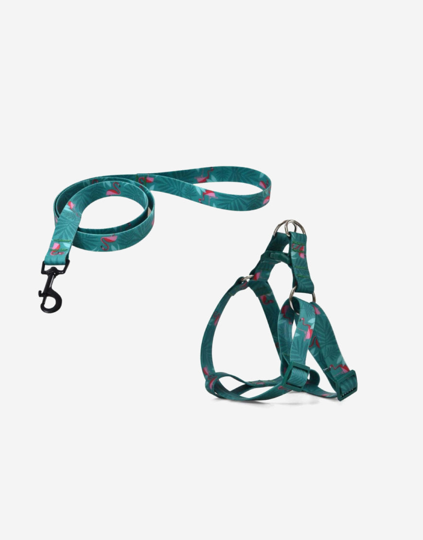 Naomi – YL109773 – YL109775 Pet Leash &Harness