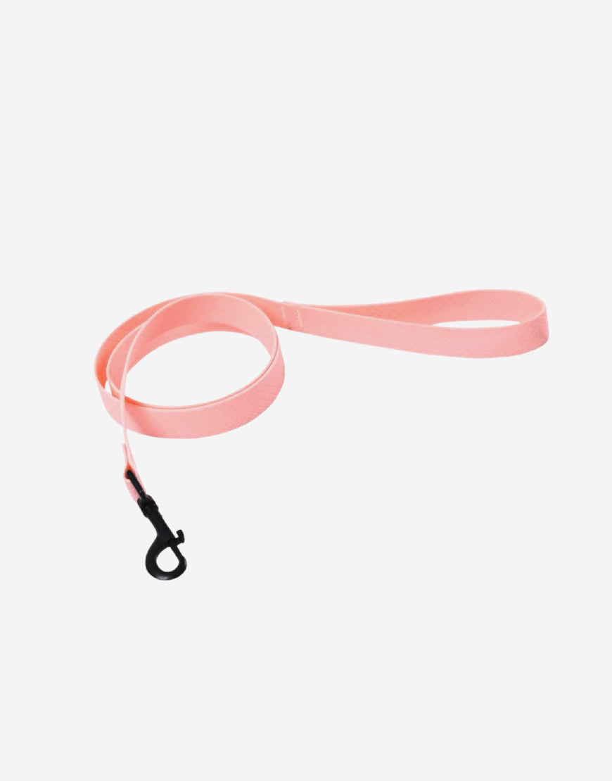 Naomi -YL109788 Pet Leash