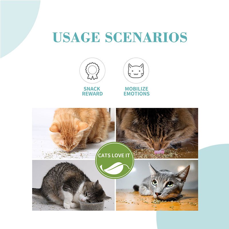 Bioline CatNip Leaves 20g