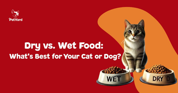 Dry vs. Wet Food: What’s Best for Your Cat or Dog?