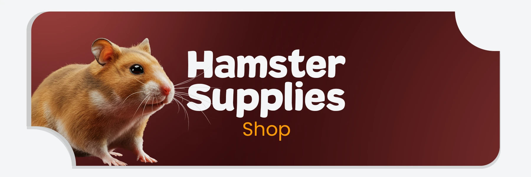 Hamster Supplies