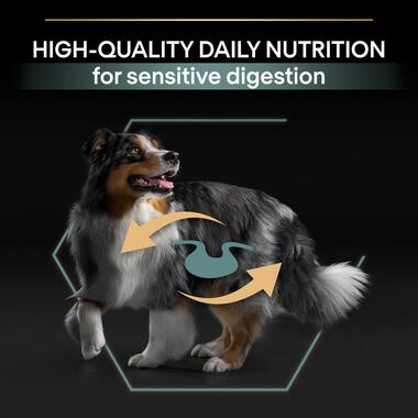 PURINA® PRO PLAN® Dog Medium Adult Sensitive Digestion with OPTIDIGEST® Rich in Lamb Dry Dog Food - 3 KG - PetYard