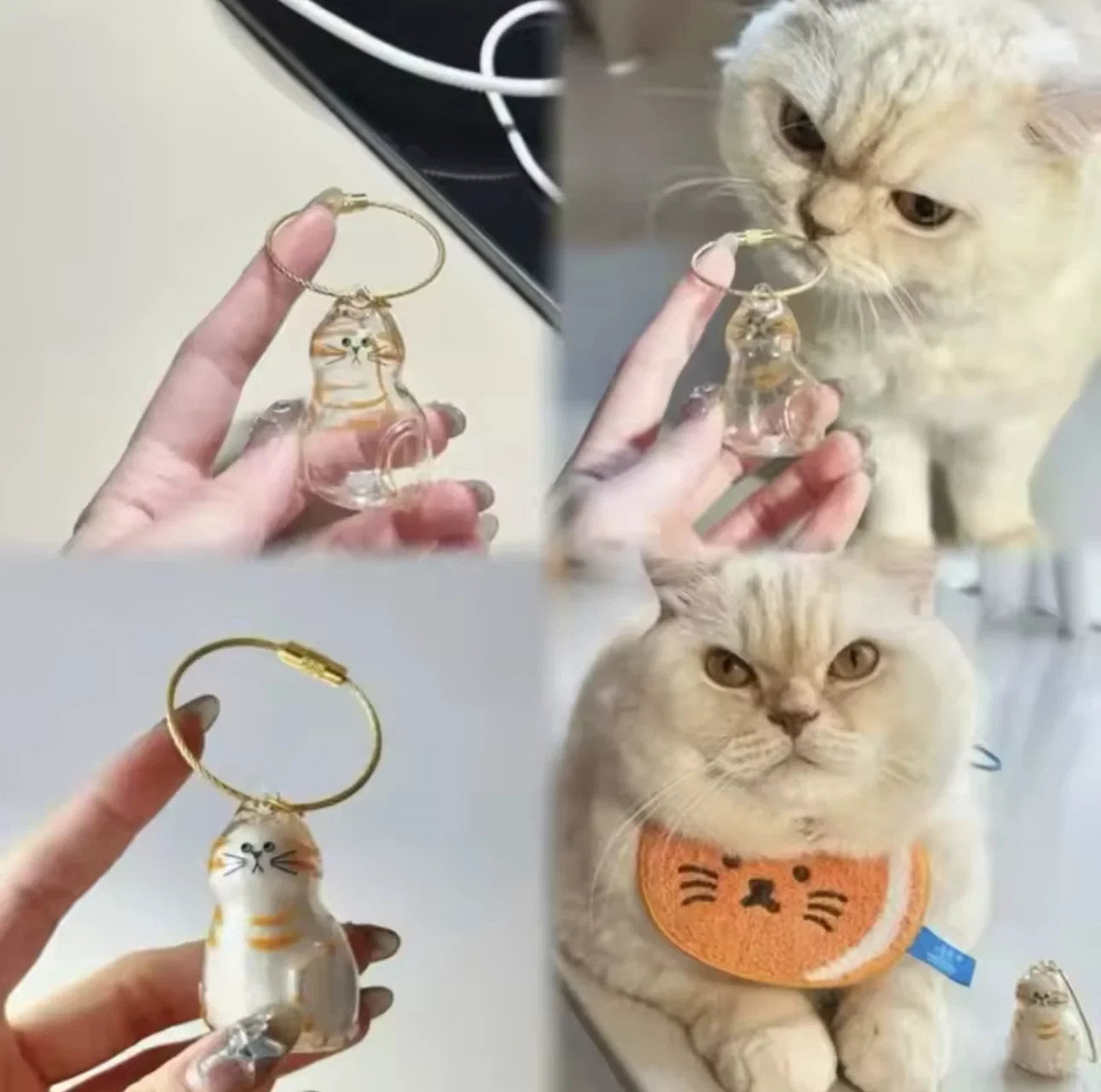 Cat Hair Memory Capsule