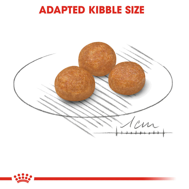 Royal Canin X-Small Adult (1.5 KG) - Dry food for very small dogs up to 4 KG. from 10 months to 8 years