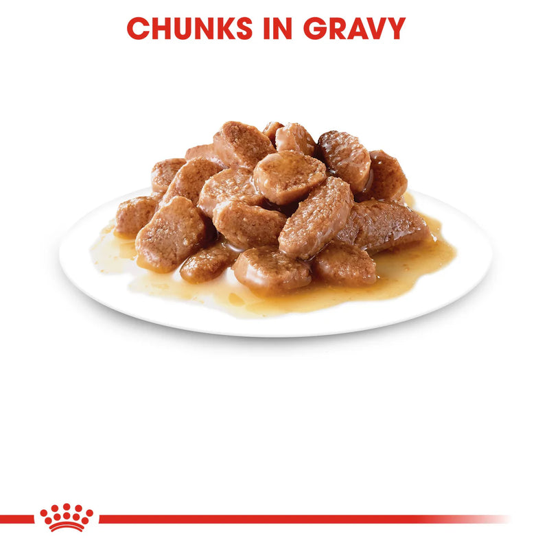 Royal Canin Urinary Care in Gravy (85gm\ Pouch) - Wet food for adult cats - Helps maintain urinary tract health