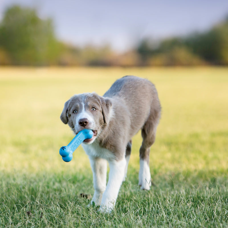 KONG PUPPY GOODIE BONE S - PetYard