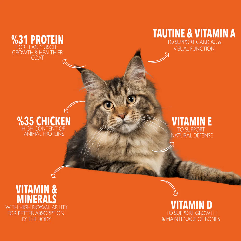 Legends Wholesome Chicken Feed For Adult Cats