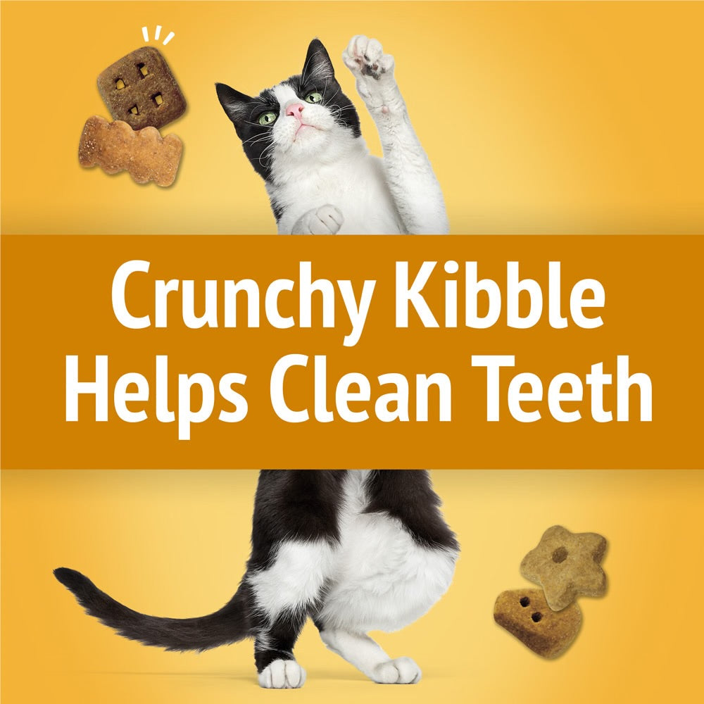 Friskies Party Mix Cheezy Craze Crunch Cheddar, Swiss & Monterey Jack Flavors Cat Treats 170G