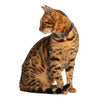 One Paw Premium Cat Collar with Bell