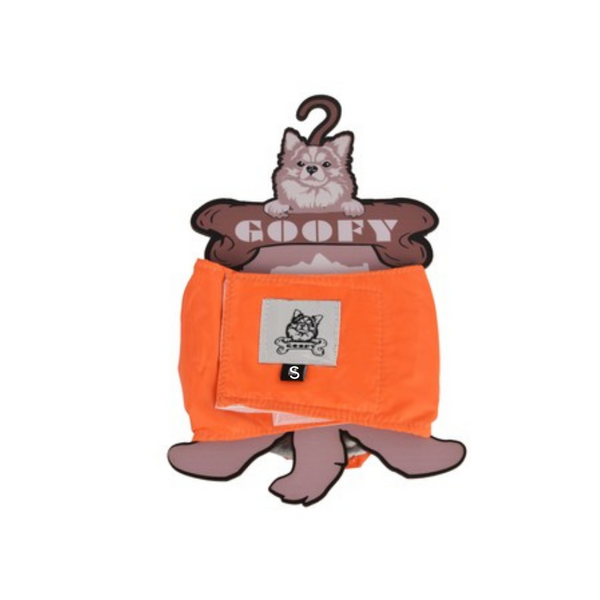 Goofy Male Diaper S