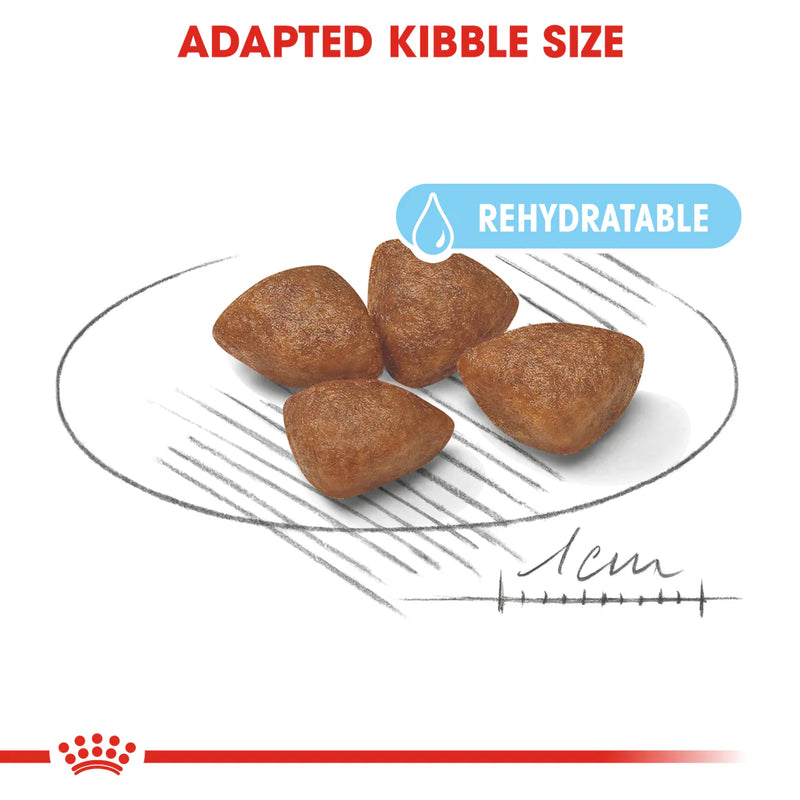 Royal Canin Mini Starter Mother & Babydog (1 KG) - Dry food for mini puppies.
