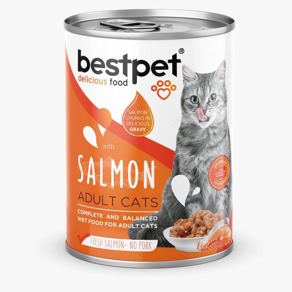 Bestpet Adult Cat with salmon Wet Food Cans 400 g