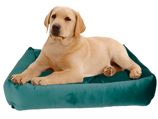 Dog Moda Velvet Bed