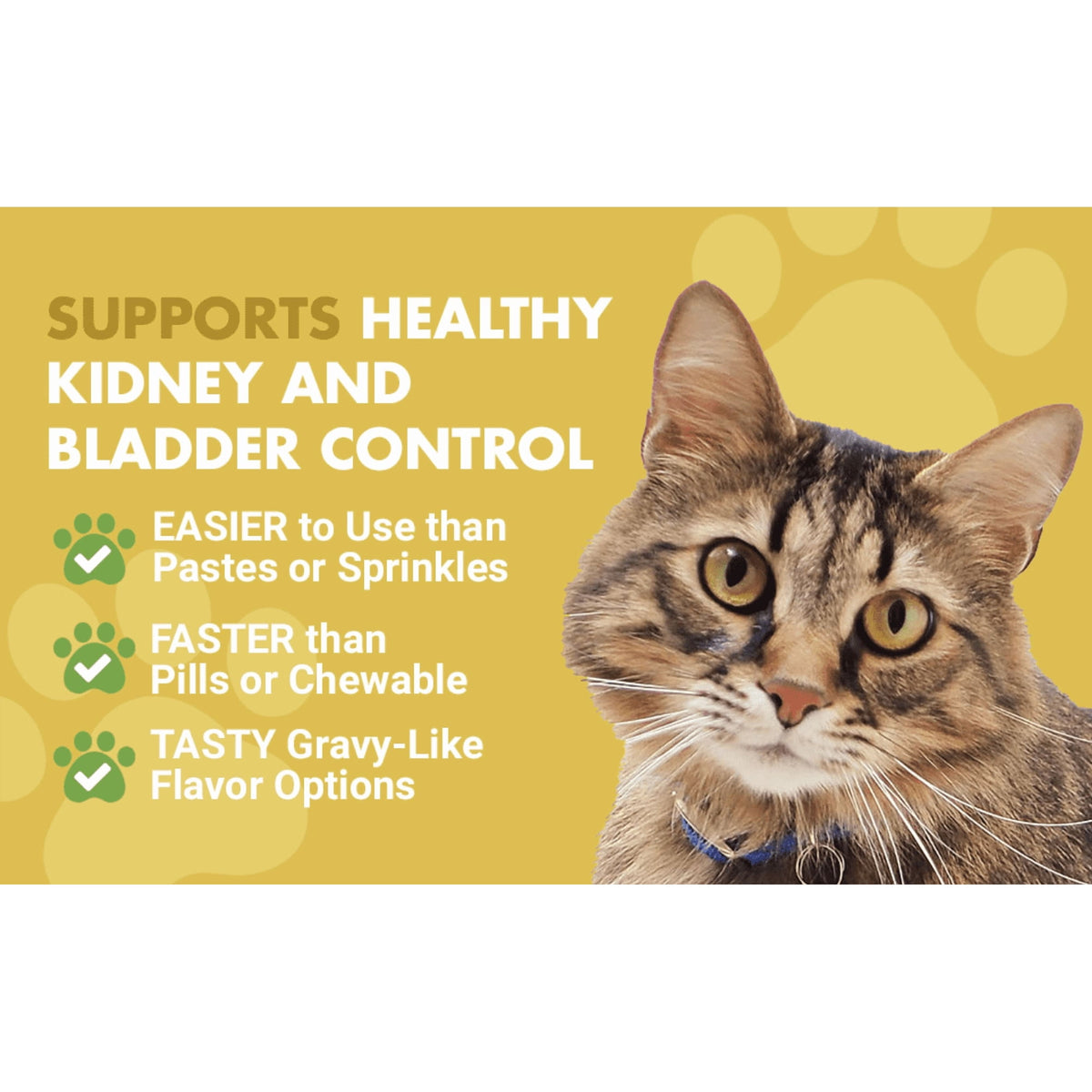 Liquid-Vet Kidney & Bladder Wellness Max Cranberry Cat Supplement (Seafood Gravy Flavor)