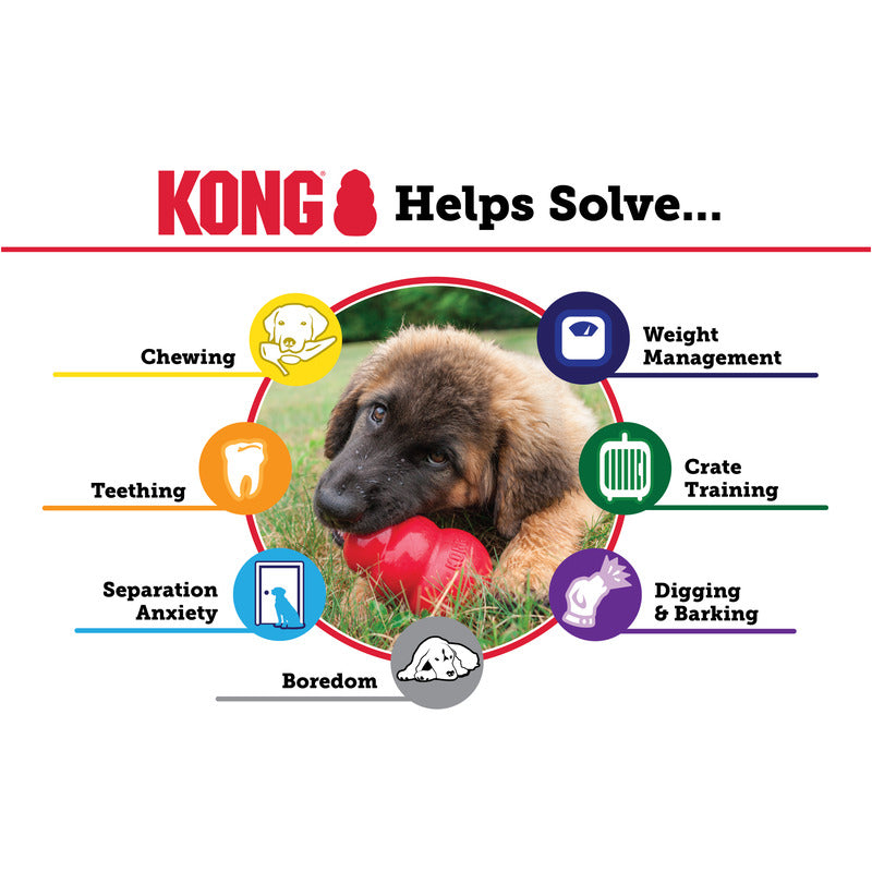 Kong Puppy L - PetYard