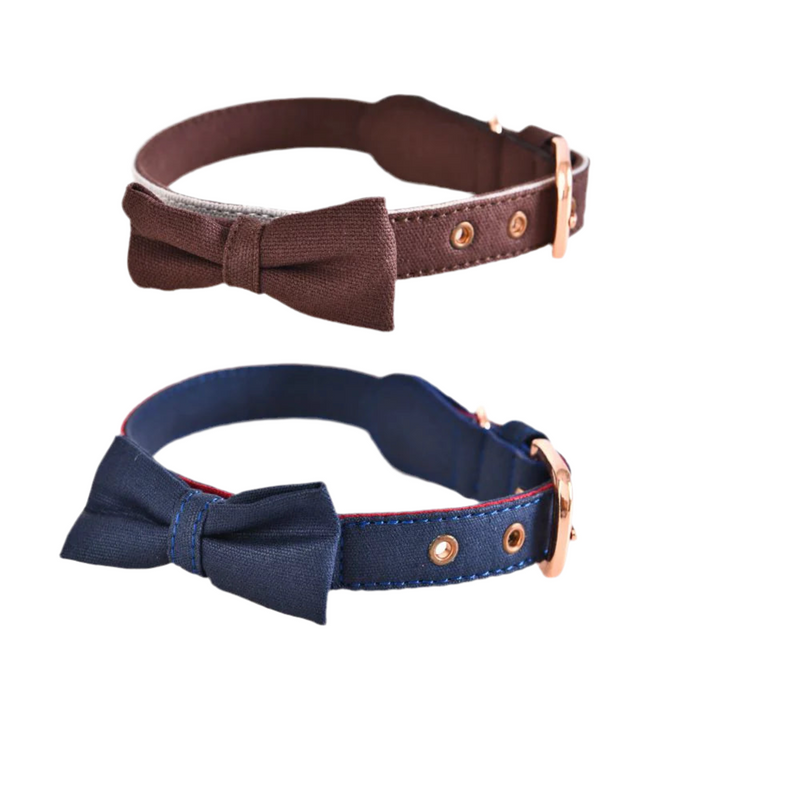 Naomi Dog Collar