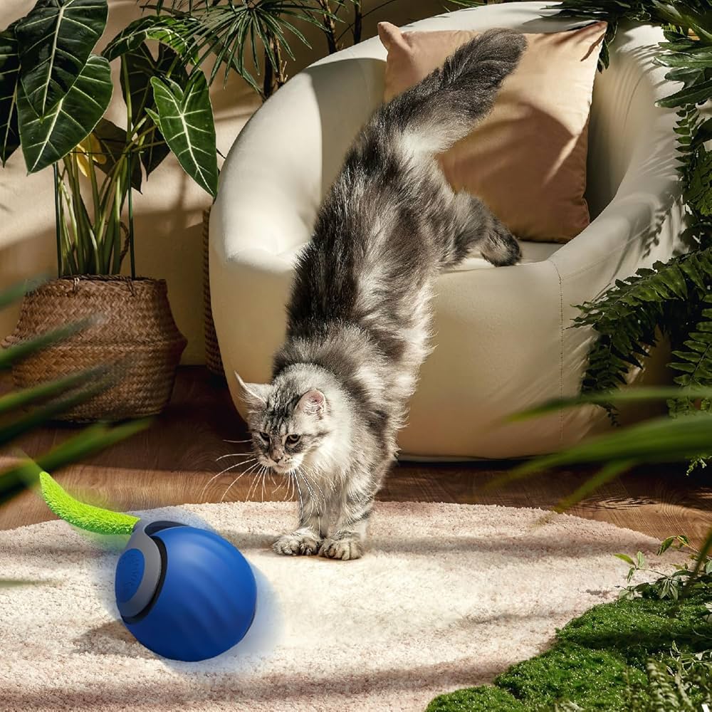 Speedy Tail Cat Toy Automatic Moving with Tail