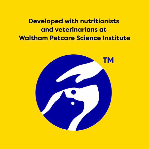 Creamy Puree Chicken Lickable, Squeezable Cat Treats 16x12G