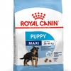 Royal Canin Maxi Large Breed Puppy Food