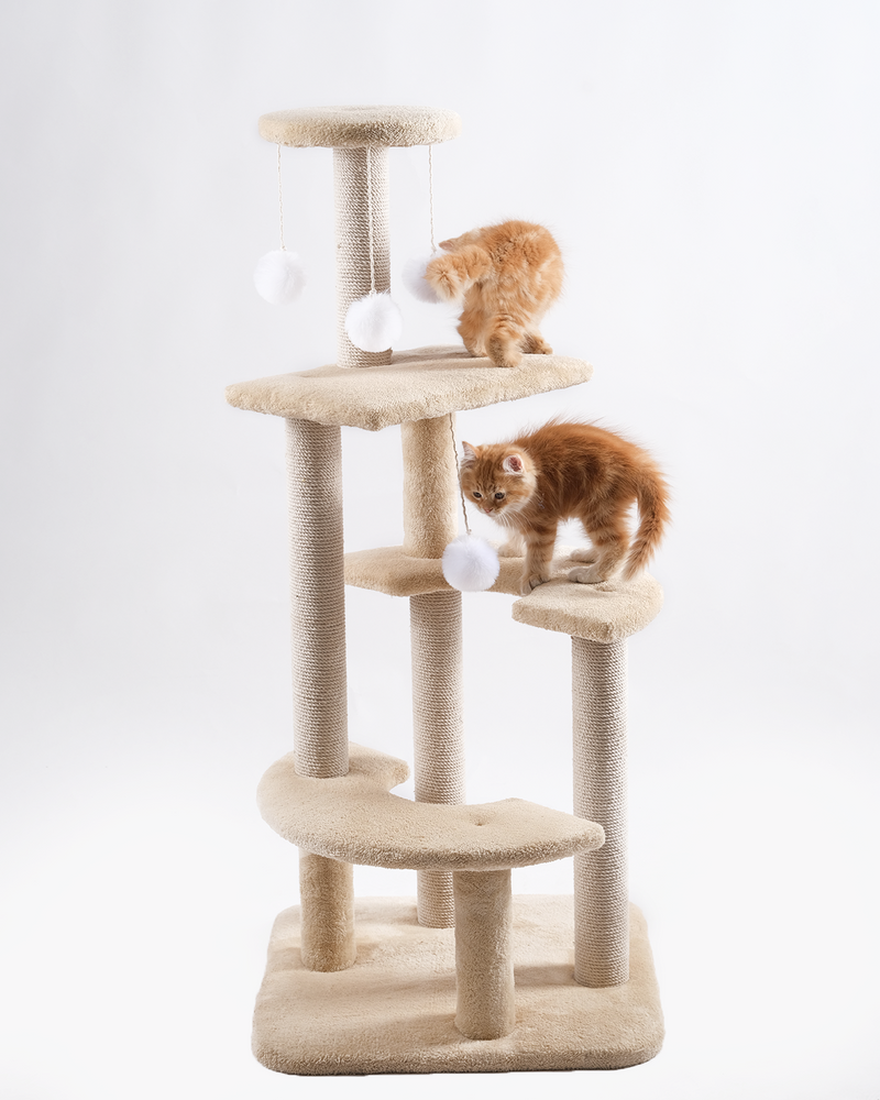 Cat House Scratcher 10035