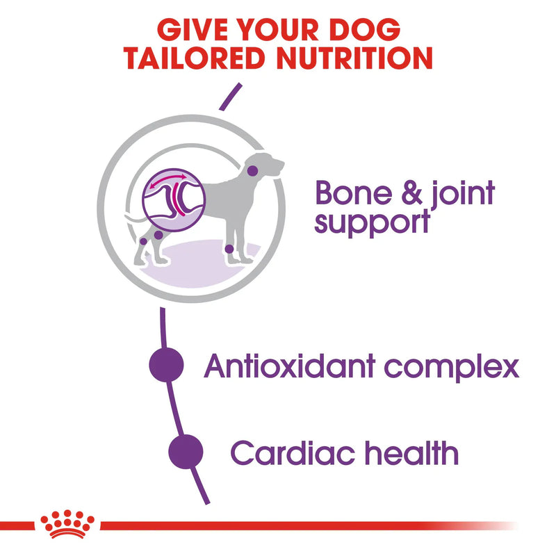 Royal Canin Giant Adult  - Dry food for giant active dogs. Adult weight from 45 kg and over - over 18\24 months