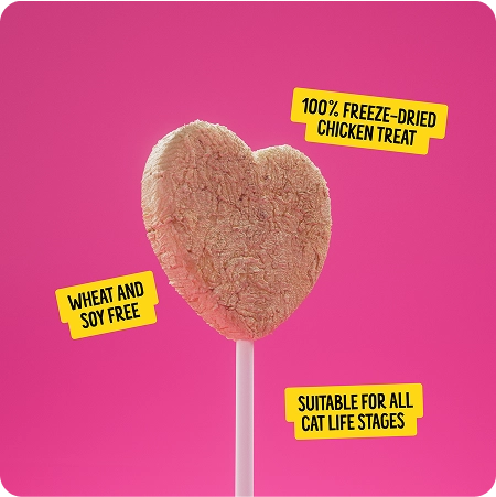 Bonkers Purrpops Cat Lollipop Treats with Salmon 4pcs