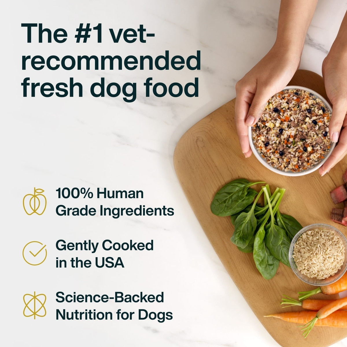 JustFoodForDogs Pantry Fresh Lamb & Brown Rice Fresh Dog Food, 354G pouch