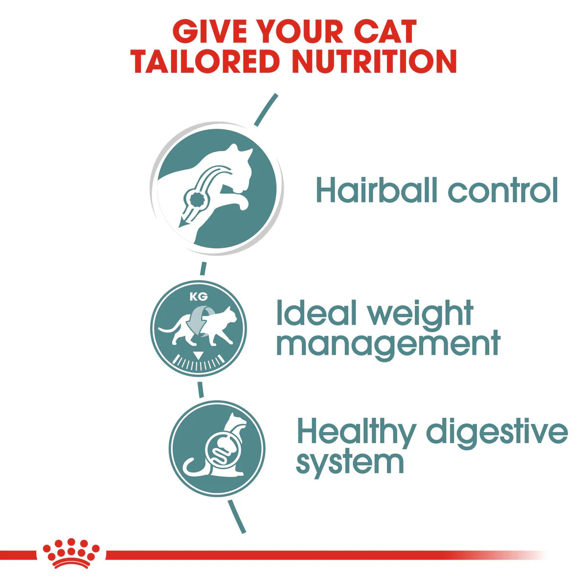 Royal Canin Hairball care (85gm\ Pouch) - Wet food for adult cats