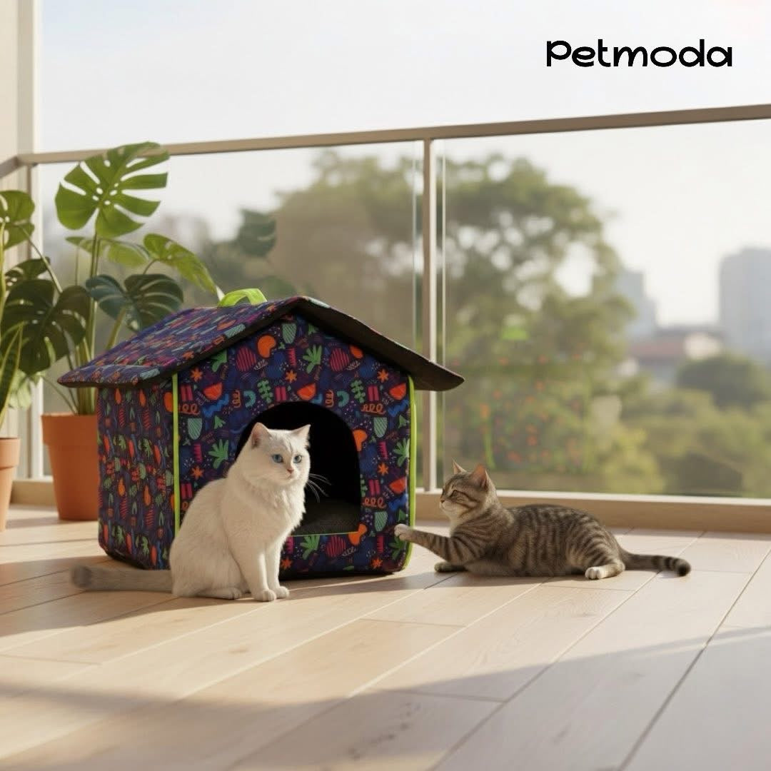 Cozy Collapsible Pet House with Removable Top for Easy Access