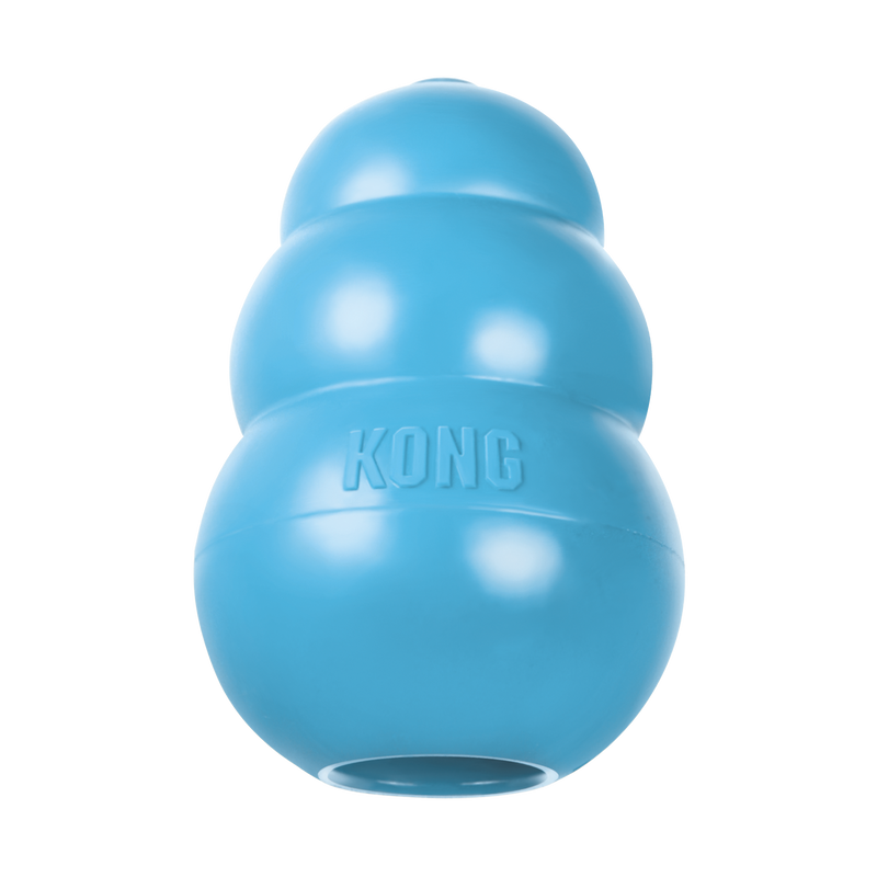 KONG PUPPY BLUE S - PetYard