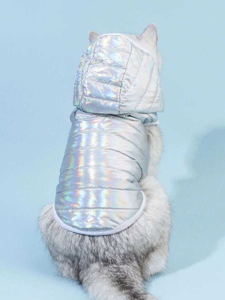 Disco Outfit For Pets All Sizes