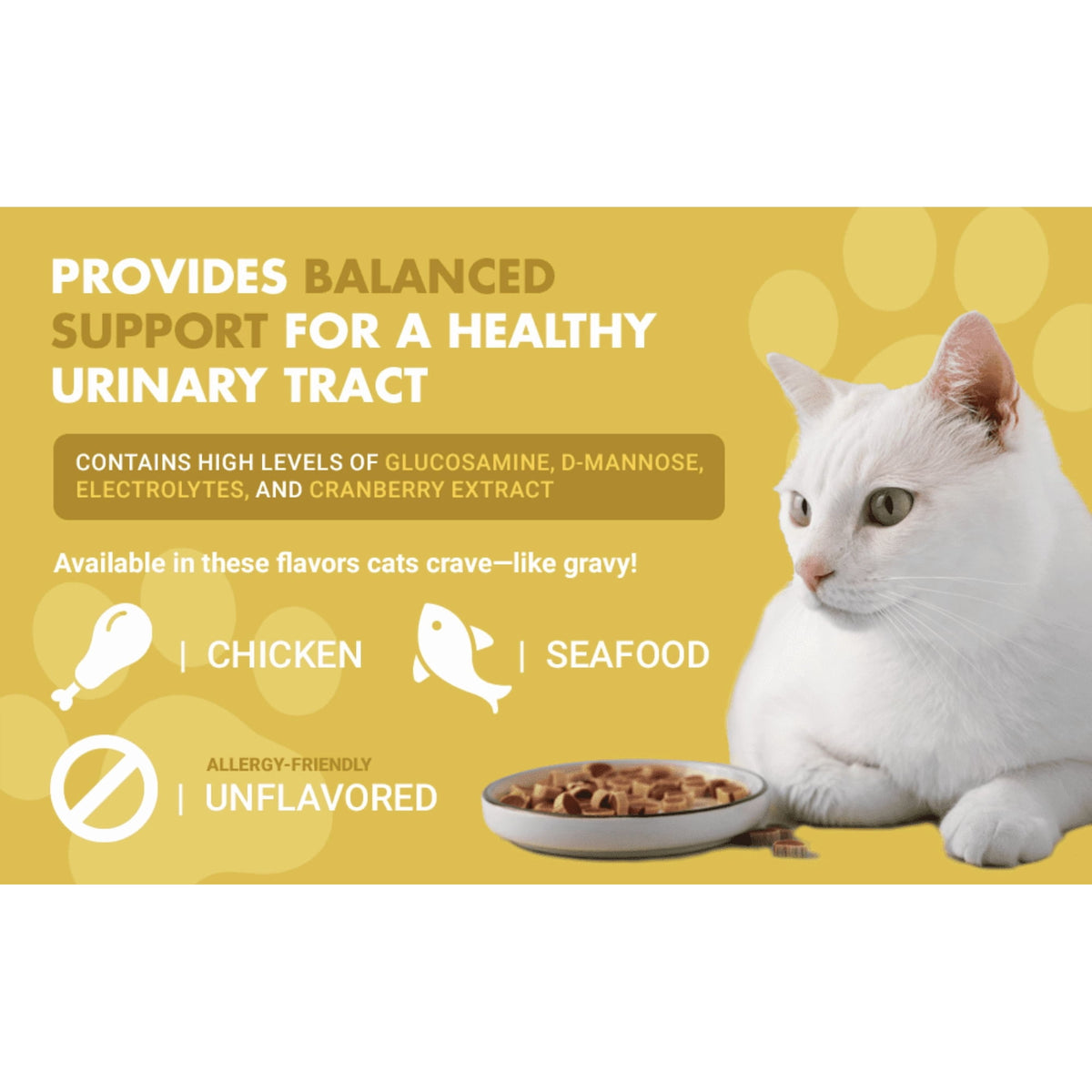 Liquid-Vet Kidney & Bladder Wellness Max Cranberry Cat Supplement (Seafood Gravy Flavor)