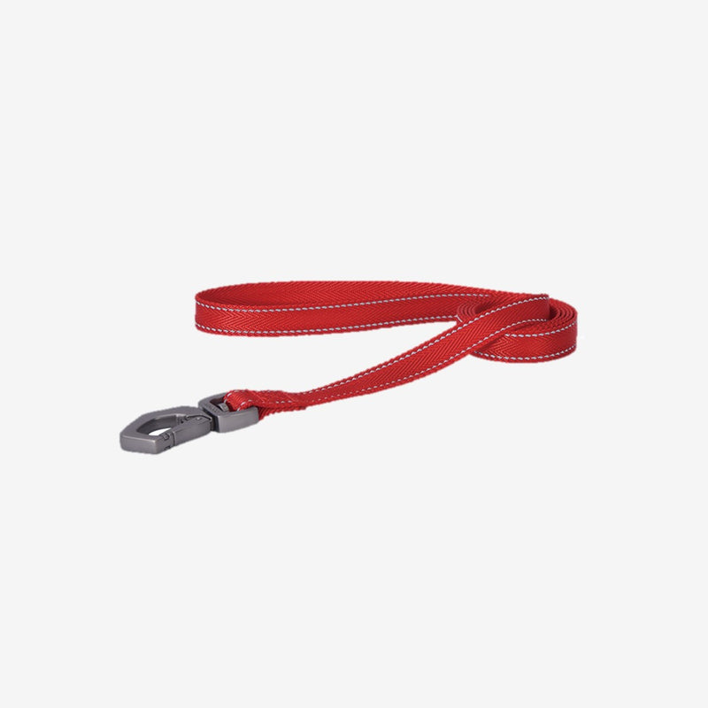 DOGNESS Herringbone Webbing Leash XL - PetYard