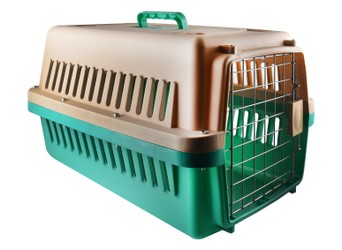 Naomi Pet Crate-M (Green)
