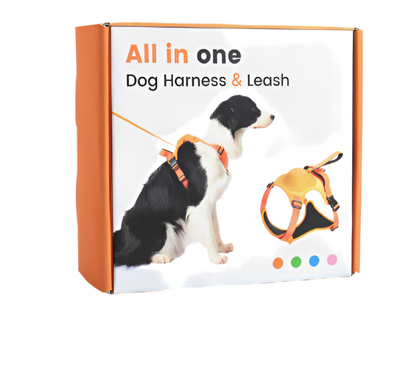 All in One - Dog Harness & Leash XL (Orange)