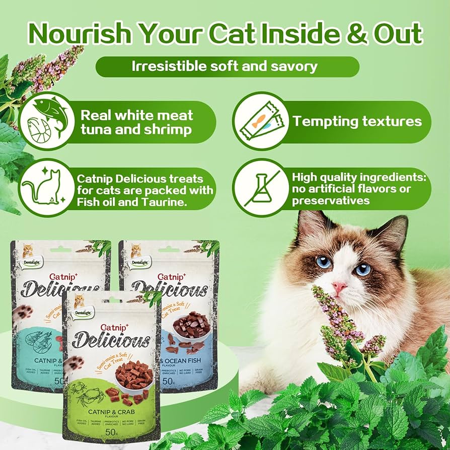 Catnip Delicious Soft Cat Chew Treats with Catnip & Ocean Fish Flavor 50G