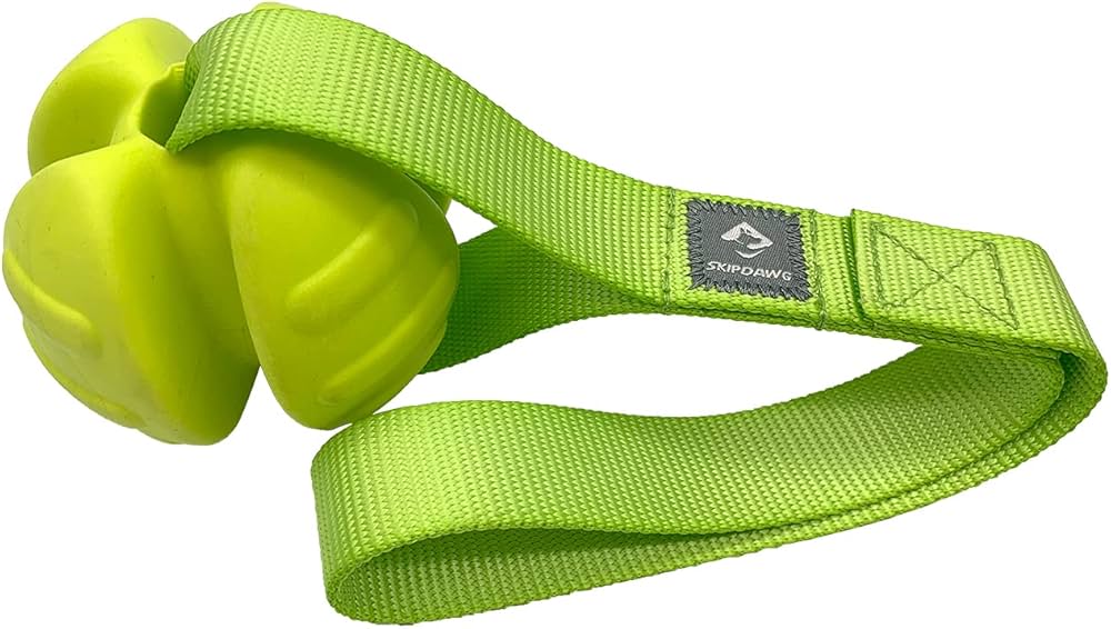 Slinger Ball Dog Toy