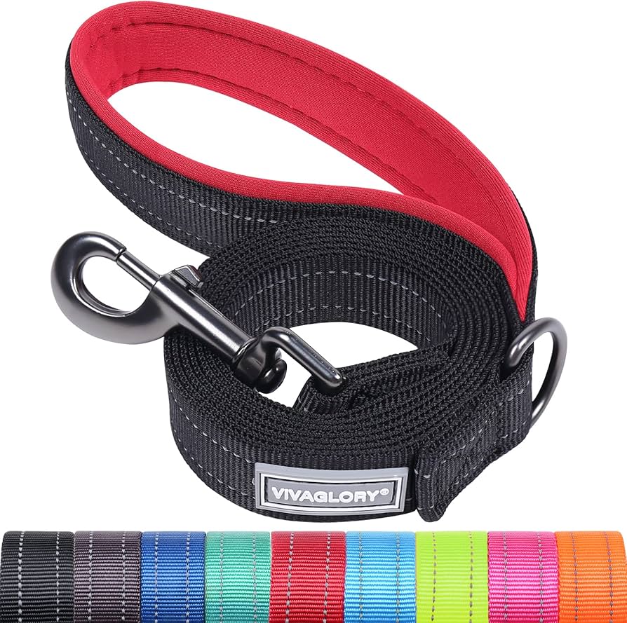 Petique Dog Leash For Small & Medium Dogs