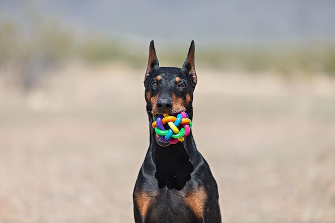 Rubber Colorful Ball with Bell (S/M/L)