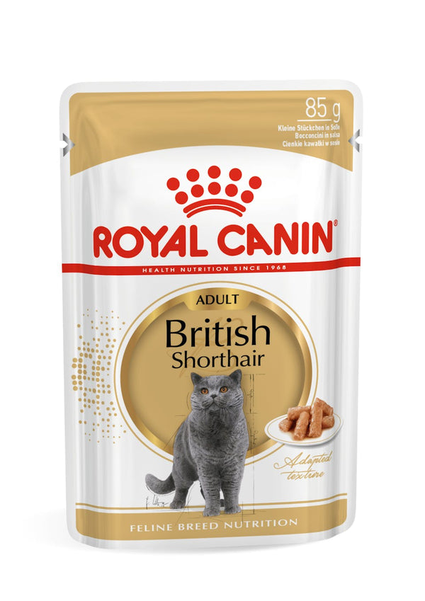 ROYAL CANIN British Shorthair (85gm\pouch)-Wet food