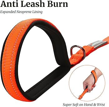 Petique Dog Leash For Small & Medium Dogs