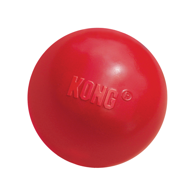 KONG BALL W/HOLE S - PetYard