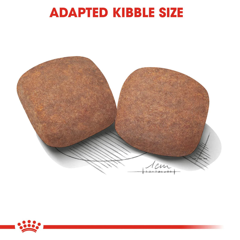 Royal Canin Giant Adult  - Dry food for giant active dogs. Adult weight from 45 kg and over - over 18\24 months