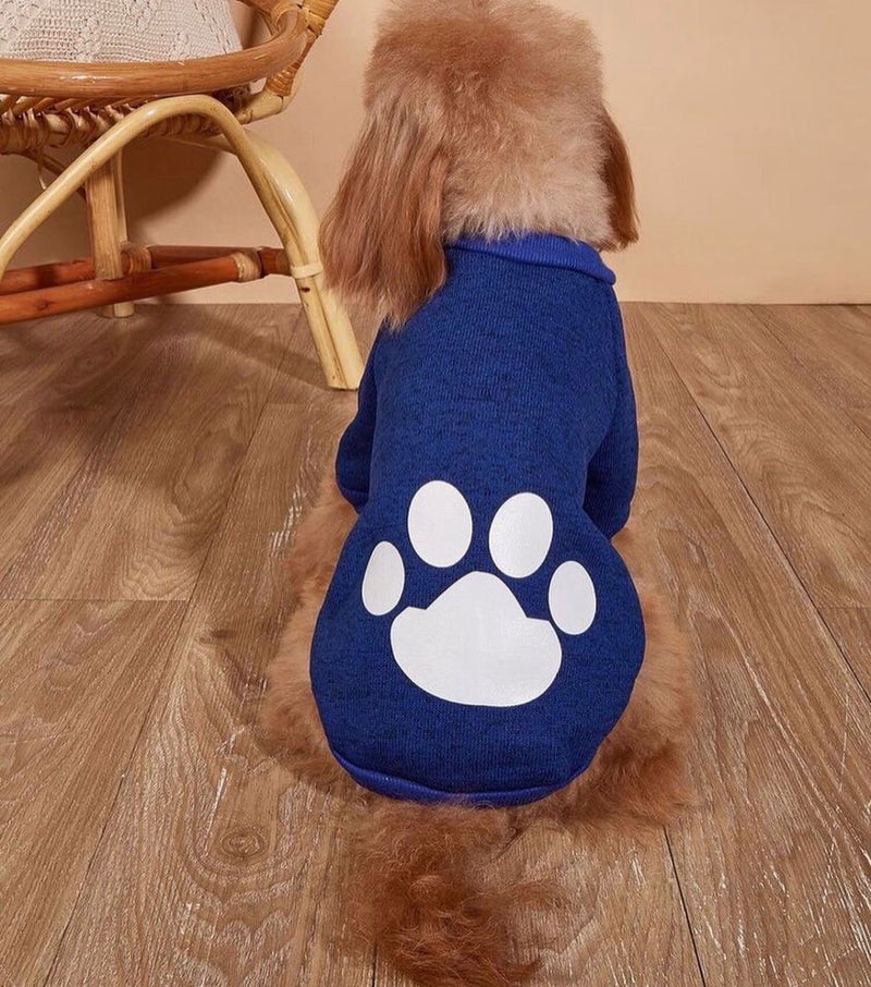 Sweet Shirt For Pets All Sizes