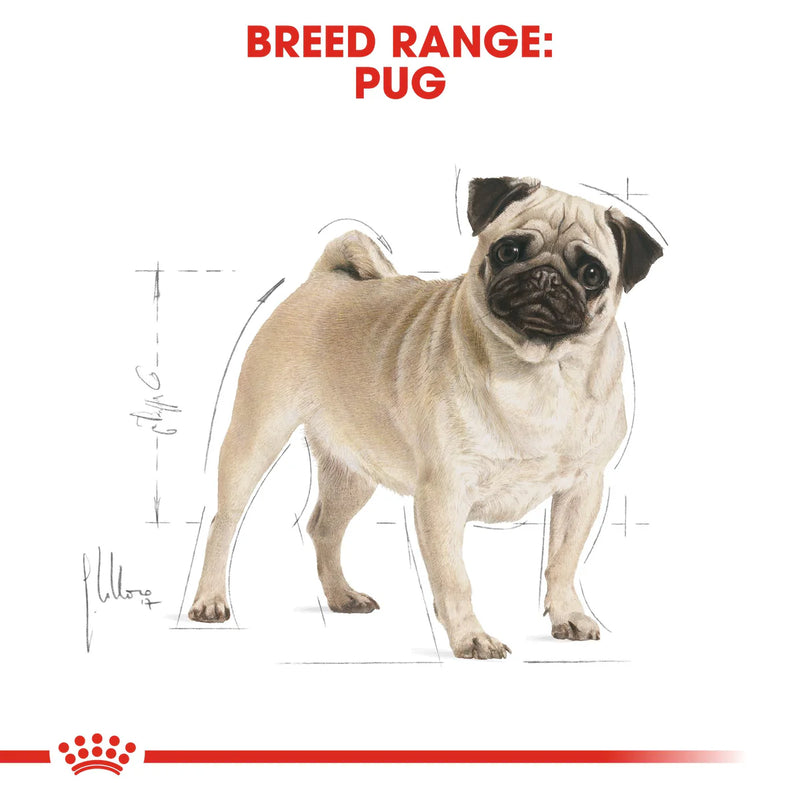 Royal Canin Pug Adult (1.5KG)